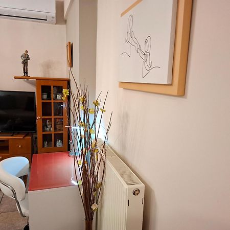 Απέριττον 2 Apartamento Trikala  Exterior foto